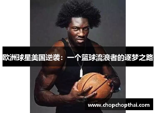欧洲球星美国逆袭：一个篮球流浪者的逐梦之路